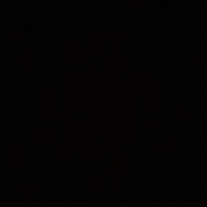 Meet your Posher, Iris